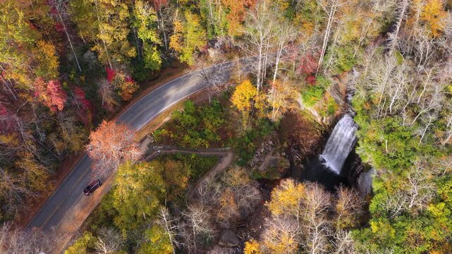Forest Heritage Scenic Byway and Looking Glass Falls with visitors on the overlook. Cars driving along the scenic roadway through colorful autumn forest.