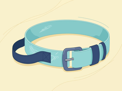 Minimalist Light Blue Gait Belt with Dark Blue Straps