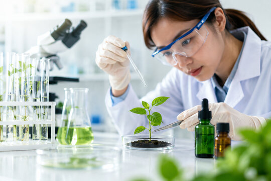 AI generated scientist studying plant growth pipette seedling laboratory equipment for biotechnology agriculture genetics sustainable research