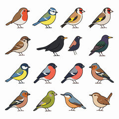 Naklejka premium Colorful Illustrated Bird Species Collection Art.