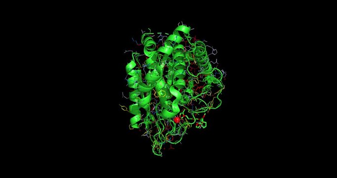 Human glutaminyl cyclase in complex with inhibitor NHV-1009, enzyme target involved in Alzheimer's disease pathology, 3D structure 4K spinning