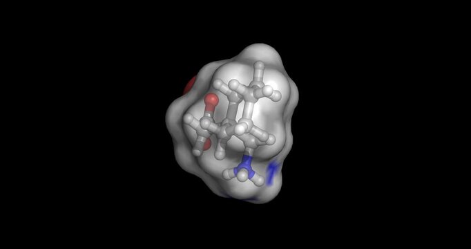 Gabapentin, anticonvulsant and gabapentinoid medication used to treat neuropathic pain and partial seizures, 3D molecule spinning, 4K