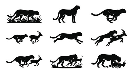 Obraz premium Black silhouette of running cheetahs sprinting.