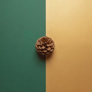 Single pine cone on a stylish split background of dark green and gold, minimalist holiday design with copy space.
