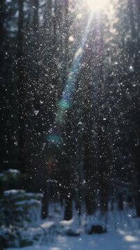 Magical Snowfall in a Sunlit Winter Forest Generative AI