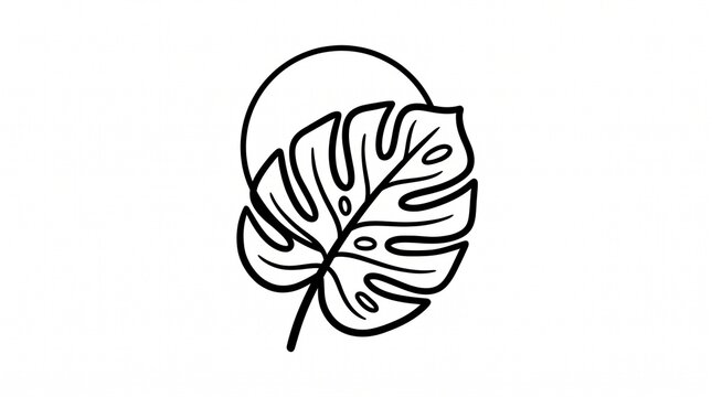 Minimalist monstera leaf line art, tropical botanical foliage illustration, black and white swiss cheese plant drawing on white background