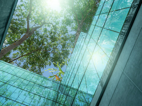 Eco-friendly building in the modern city. Sustainable glass office building with trees for reducing heat and carbon dioxide. Office building with green environment. Corporate building reduce CO2.