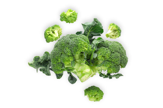 Healthy food. Broccoli arranged beautifully highlights nutrition and vibrant color, PNG