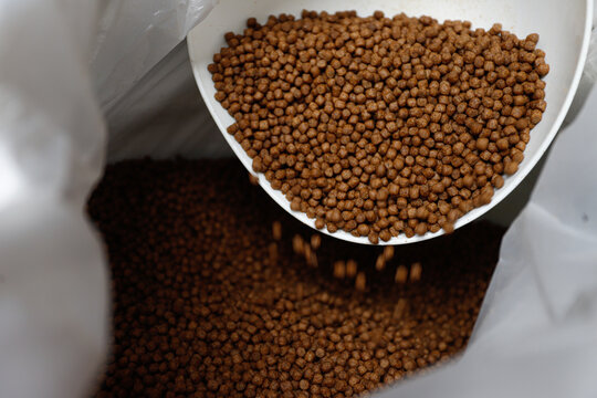 Premium Fish Feed Pellets in Hands &ndash; Aquaculture Nutrition	
