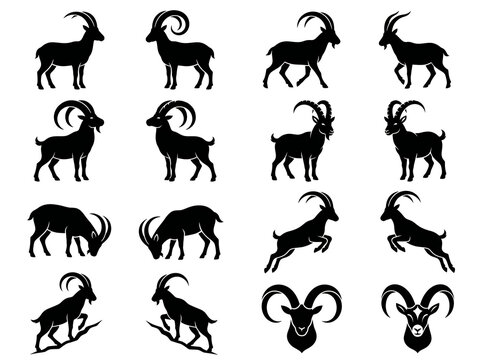 Detailed silhouettes of alpine ibex goats showing various postures