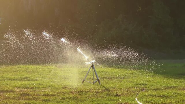 Movable tripod sprinkler watering grass lawn in summer garden during dry season.