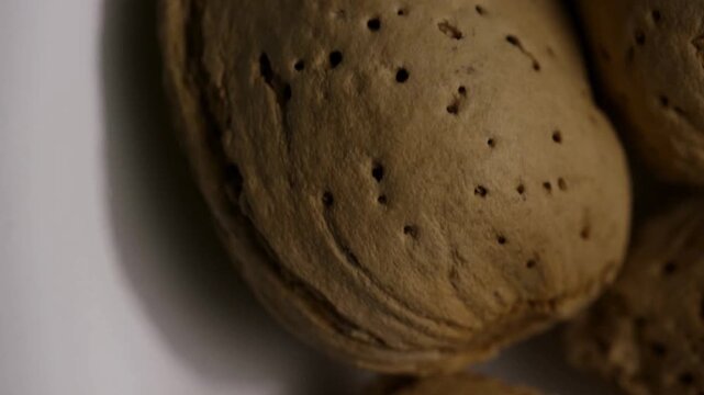 Extreme close up vertical pan of almond shell texture