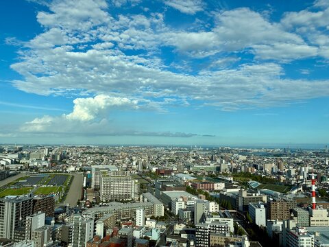 aerial view of the city