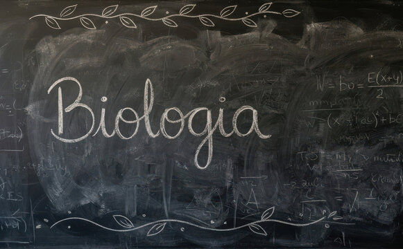 Biologia lavagna scuola educazione studio scienza insegnamento appunti