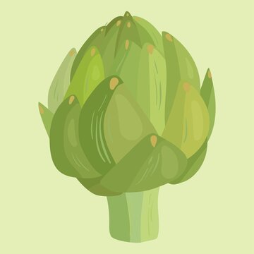 Artichoke Flat Vector Illustration