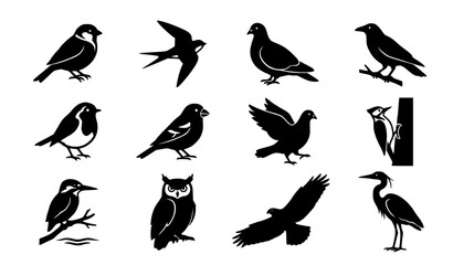Fototapeta premium Wild Bird Silhouette Icon Collection