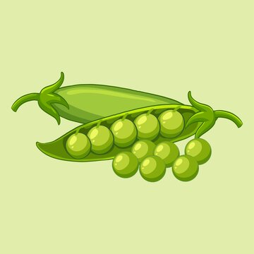 Green Peas Flat Vector Illustration