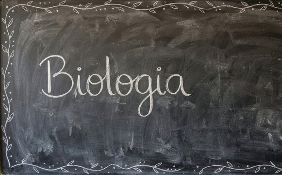 Biologia lousa escolar educacao ciencia estudo escola sala de aula materia curso