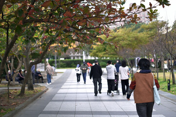 Naklejka premium New Taipei City, Taiwan - Jan 05, 2025: Pedestrians walk a striped stone path beneath autumn trees, one pushing a stroller, benches near, Zhonghe District.