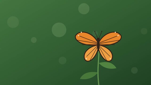 A monarch butterfly slowly unfolding its orange wings on a garden stem