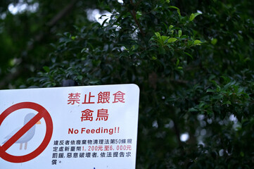 Fototapeta premium New Taipei City, Taiwan - Jan 05, 2025: A no-feeding-birds notice sign with regulatory text stands before dense green shrubs, No. 4 Park, Zhonghe District.