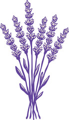 Obraz premium Stylized purple lavender bouquet with slender tied stems
