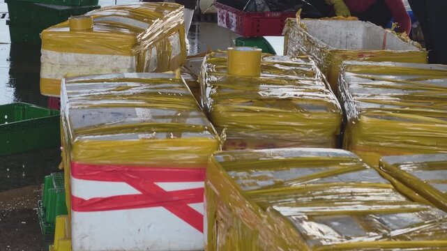 Workers weighing and packing tuna in insulated foam boxes at a fishing port