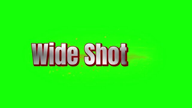 Wide Shot 3D text rendered on a bright green chroma key background.