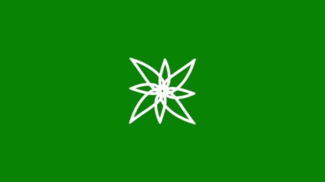 Geometric star line art animation on green screen background, glowing white mandala flower star twinkling effect, fast pulsing motion, flat vector doodle sparkle light overlay video loop. 4k vfx