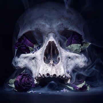 Cinematic macro photograph of human skull with indigo mist and dried floral elements.