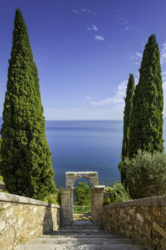 Quiet Archway in Tuscany with pine trees Overlooking the Blue Horizon with sea in background