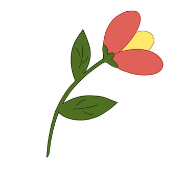 Flower and plant cute for desaign or walpaper 
