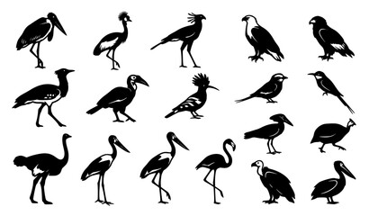 Fototapeta premium African Wildlife Bird Black White Symbol Set