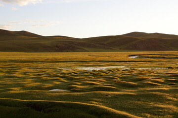 Fototapeta premium Early Morning Light on Grassland in Tsagaan, Arkhangai Province, Mongolia