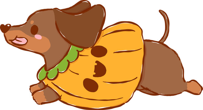 Cute Halloween Dachshund Dog in Pumpkin Costume Running Cartoon Hand Drawn Illustration