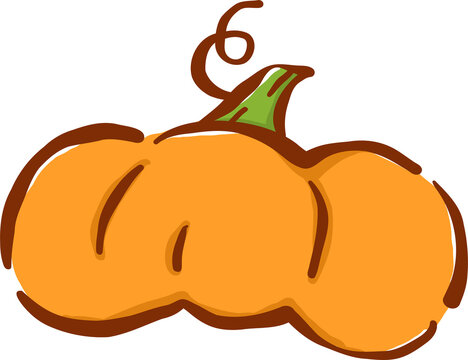 Cute Orange Pumpkin Hand Drawn Illustration