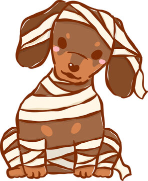 Cute Halloween Dachshund Dog Mummy Sitting Cartoon Hand Drawn Illustration