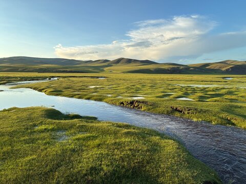 Morning Stream Flowing Through Grassland in Arkhangai Province, Mongolia