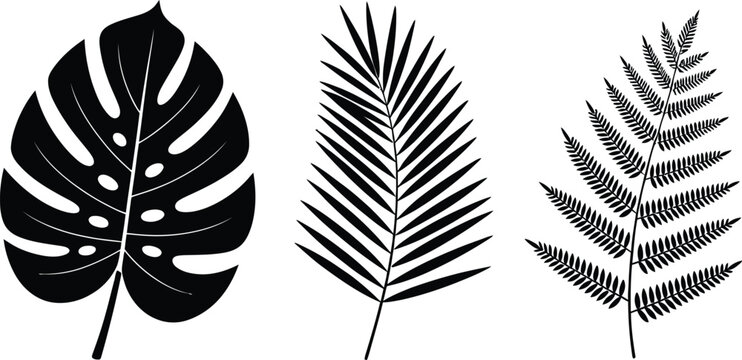 Tropical leaf icon featuring black monstera, palm, and fern silhouettes for botanical, nature, and editable vector design.