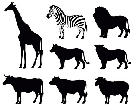 Wild and domestic animals vector black silhouette collection on transparent background 