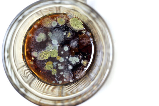 Top-down view of mold and fungal growth forming inside a glass mug filled with dark liquid.