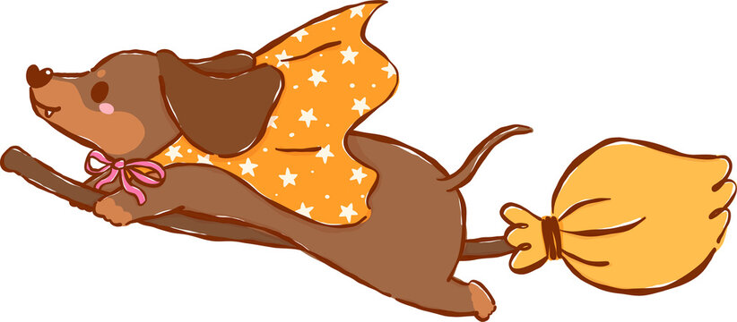 Cute Halloween Dachshund Witch Flying on Broomstick Cartoon Hand Drawn Illustration