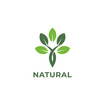Simple Green Natural Branches Leaves Organic Logo Design Template