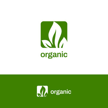 Simple Green Squar Leaves Natural Organic Leaf Logo Design Template