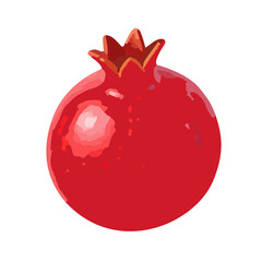 Whole Red Pomegranate Fruit Illustration © Redarae Studio