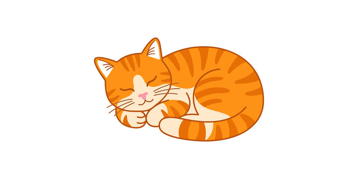 Cute sleeping ginger cat curled up orange striped feline resting peacefully in comfortable pose.