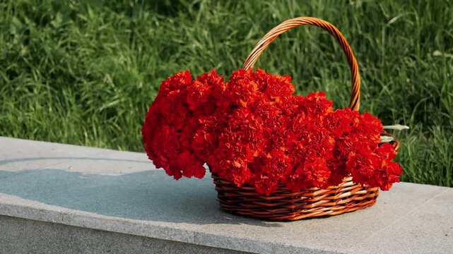Wicker basket filled with red carnations outdoors, prepared for flower laying during a memorial ceremony, remembrance event or commemoration.