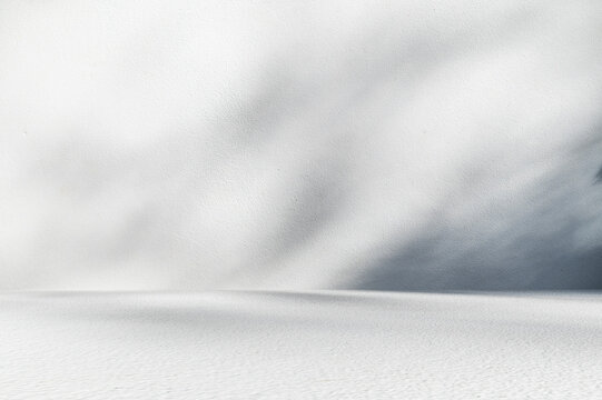 Empty White Studio Room Display Stage with Subtle Leaf Shadows.
