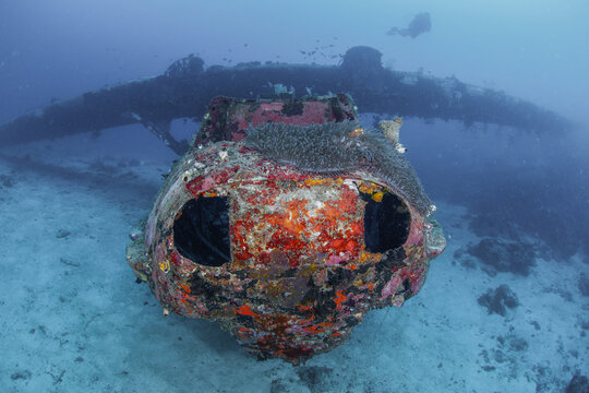 Sunken WWII PBY Catalina Nose Turret Covered in Coral with Diver Silhouette in Biak Papua Underwater Photography