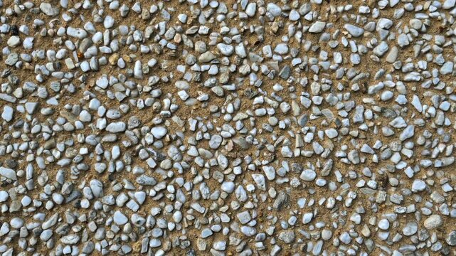 Static top view close up of exposed aggregate pebble plaster texture on a wall. Candid detail shot of white stone mosaic plaster background on a bright day.